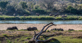 Nzuwizi River Safari Lodge